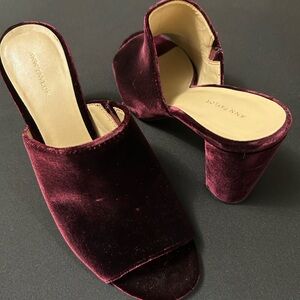 Ann Taylor Deep Burgundy Velvet Mules